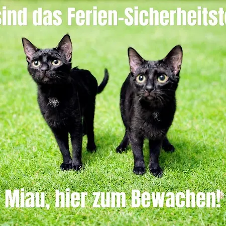 Maifeld-fewo Sonnenschein * Kerben